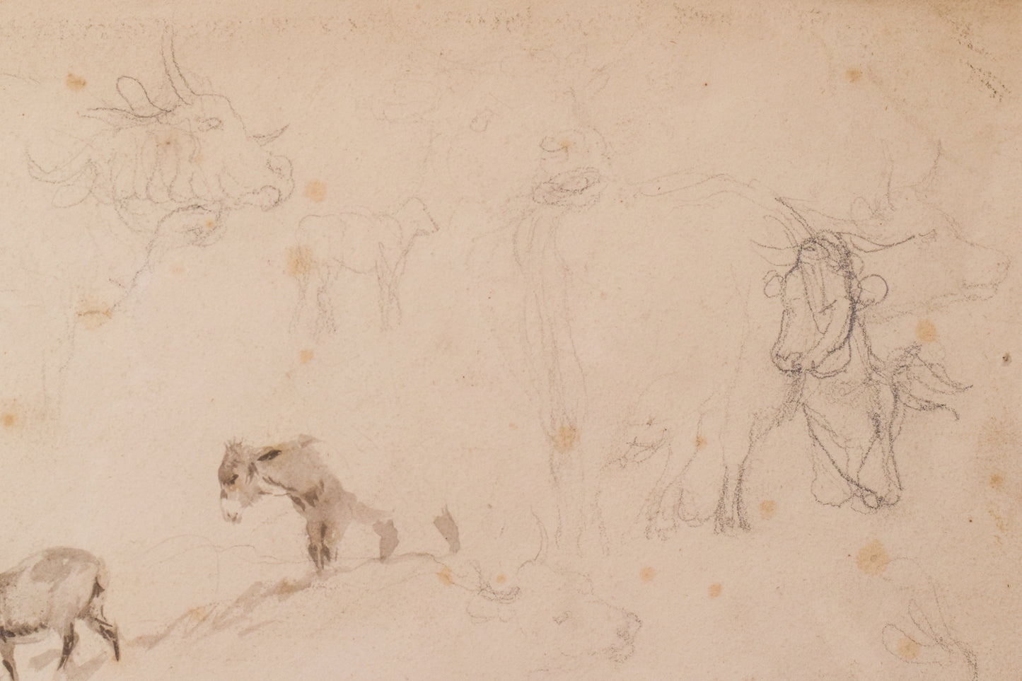 Study of Cattle and Sheep – Thomas Sidney Cooper or Follower