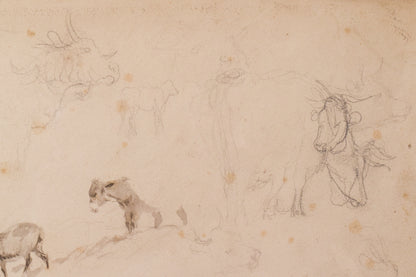 Study of Cattle and Sheep – Thomas Sidney Cooper or Follower