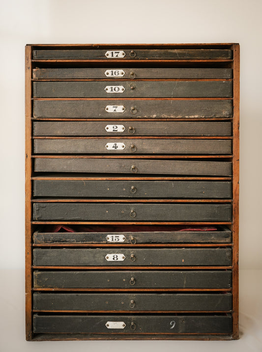 Zoological or Collectors Chest of Draws