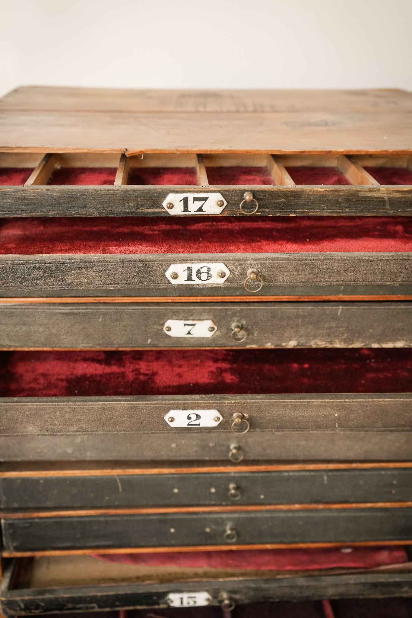 Zoological or Collectors Chest of Draws - Vintage