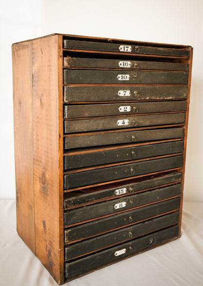 Zoological or Collectors Chest of Draws - Vintage