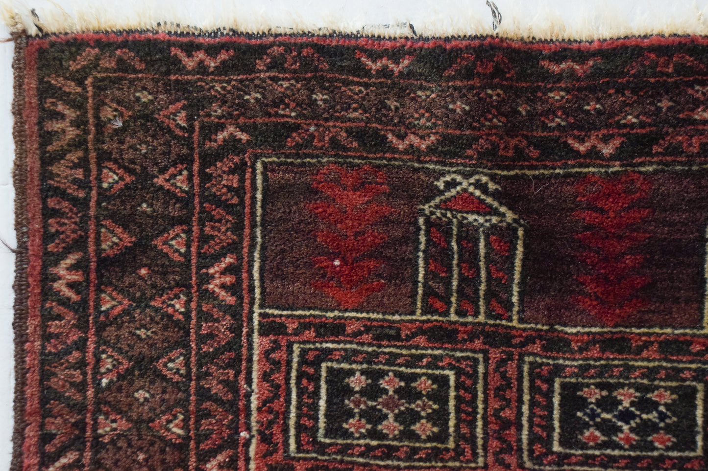 Oriental Rug (Afghan)