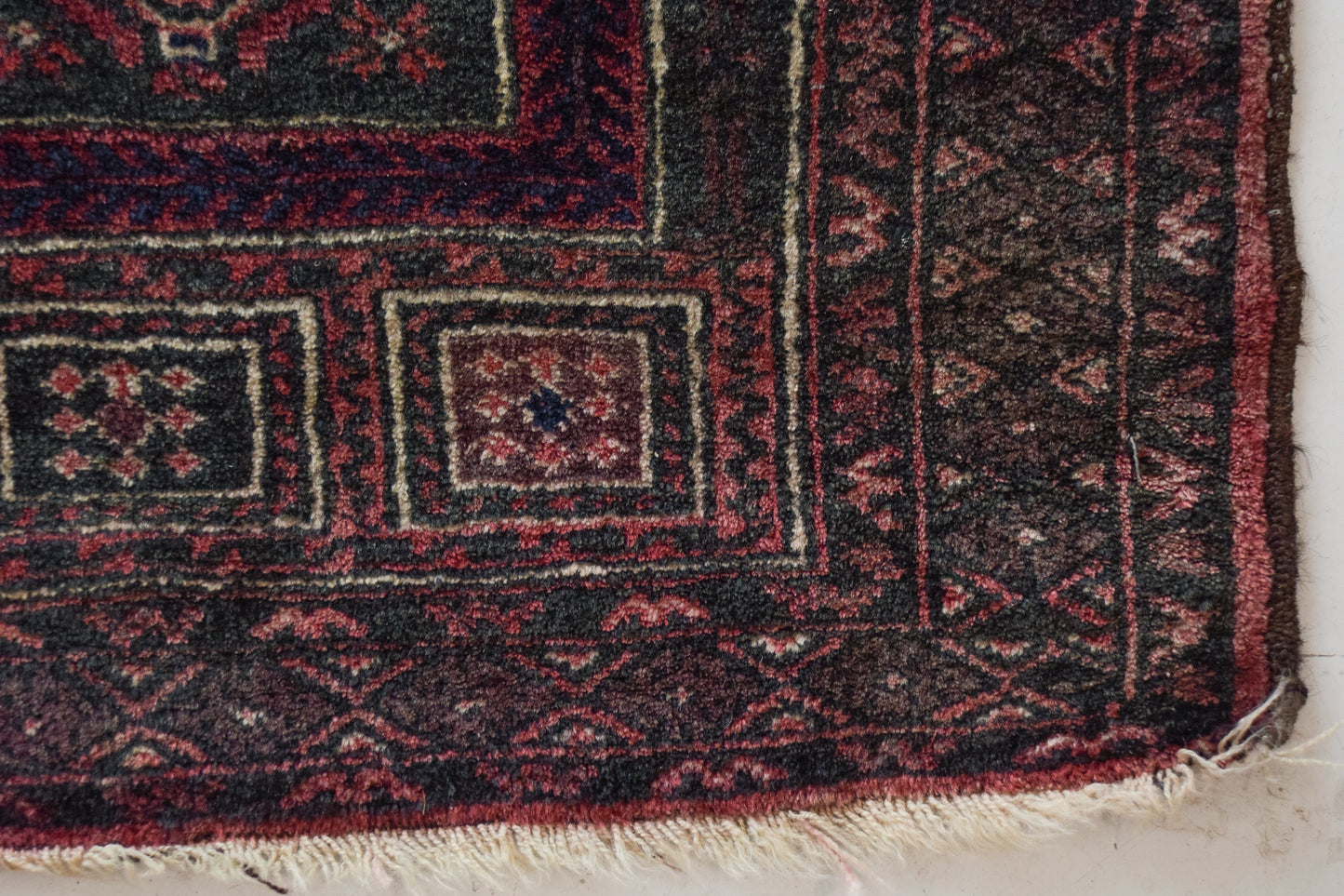 Oriental Rug (Afghan)