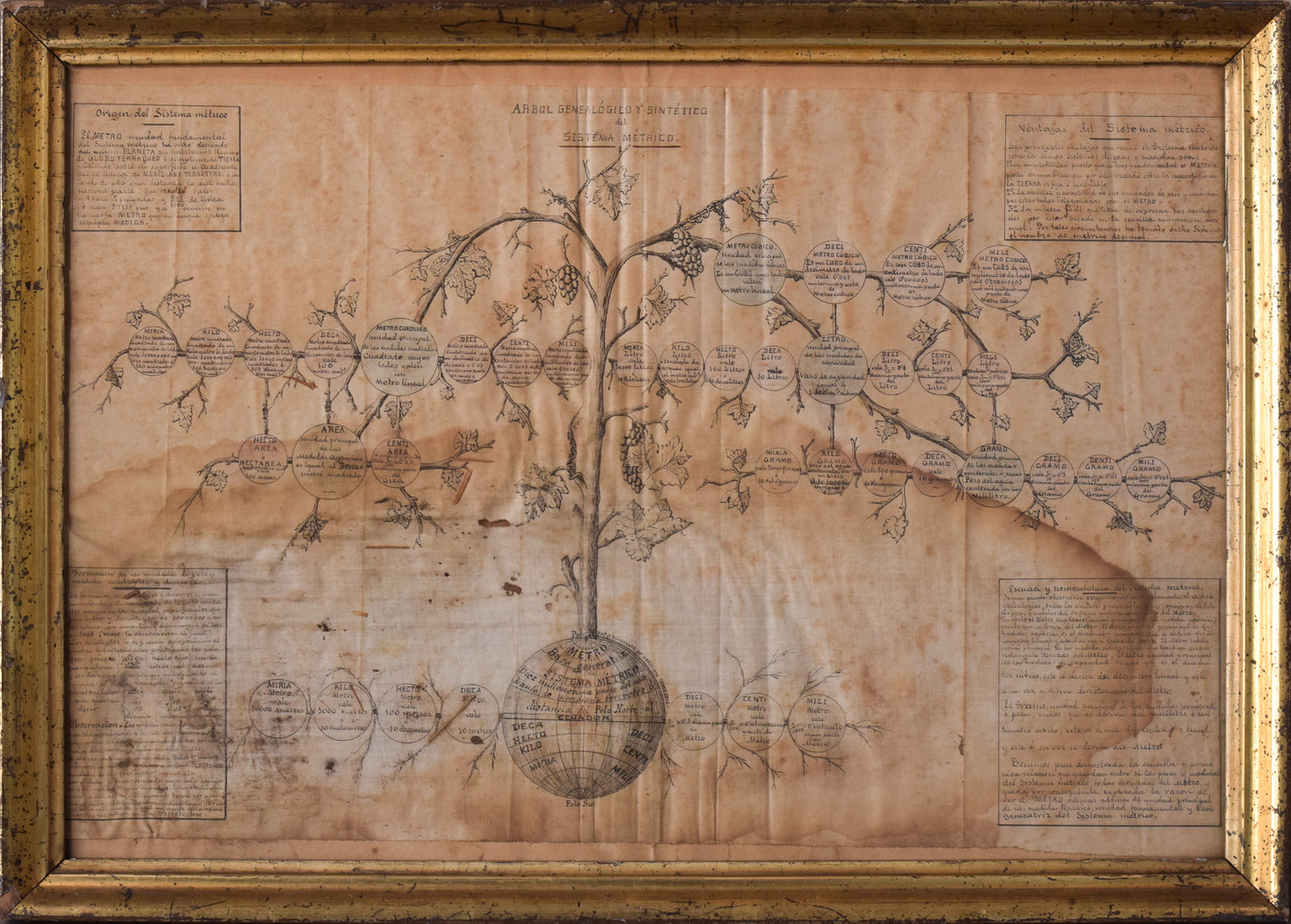 Rare Original Drawing of Metric System (Genealogy Tree)