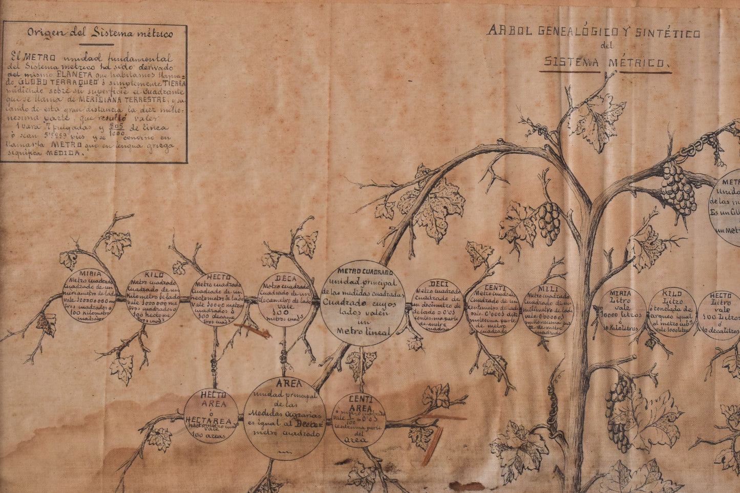 Rare Original Drawing of Metric System (Genealogy Tree)