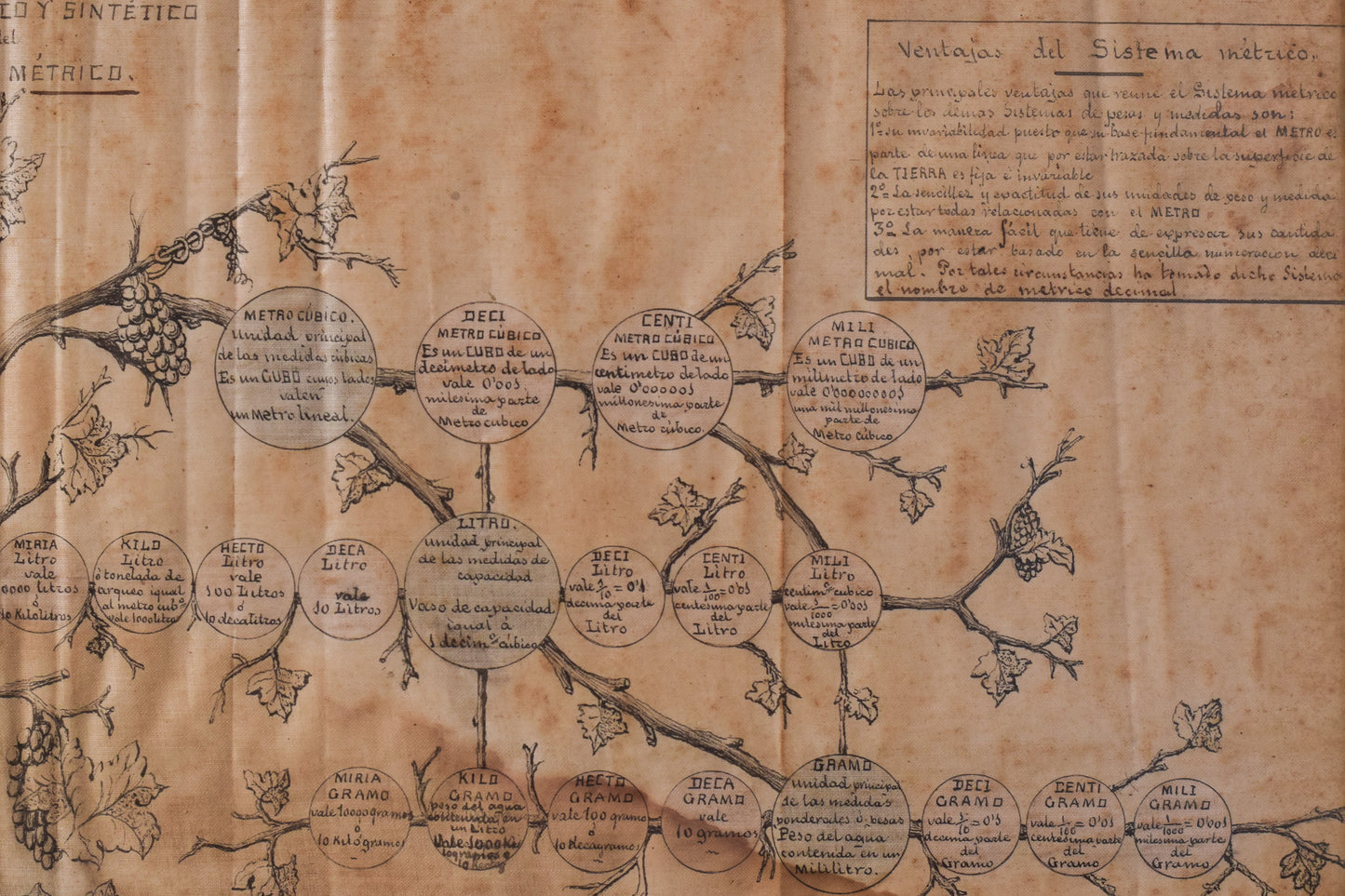 Rare Original Drawing of Metric System (Genealogy Tree)