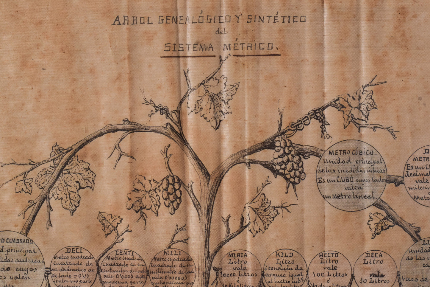 Rare Original Drawing of Metric System (Genealogy Tree)