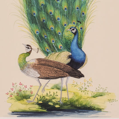 Pair of Peacocks - Goauche
