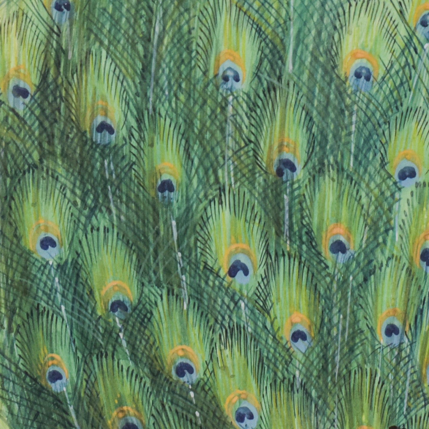 Pair of Peacocks - Goauche