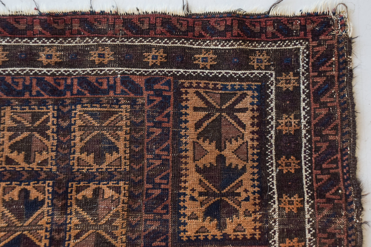 Antique Baluch - Handwoven Prayer Rug