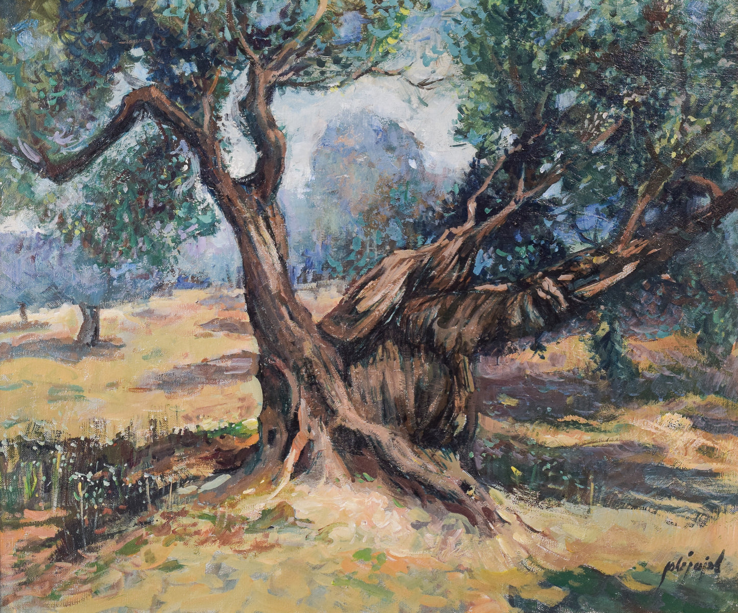 The Old Olive Tree