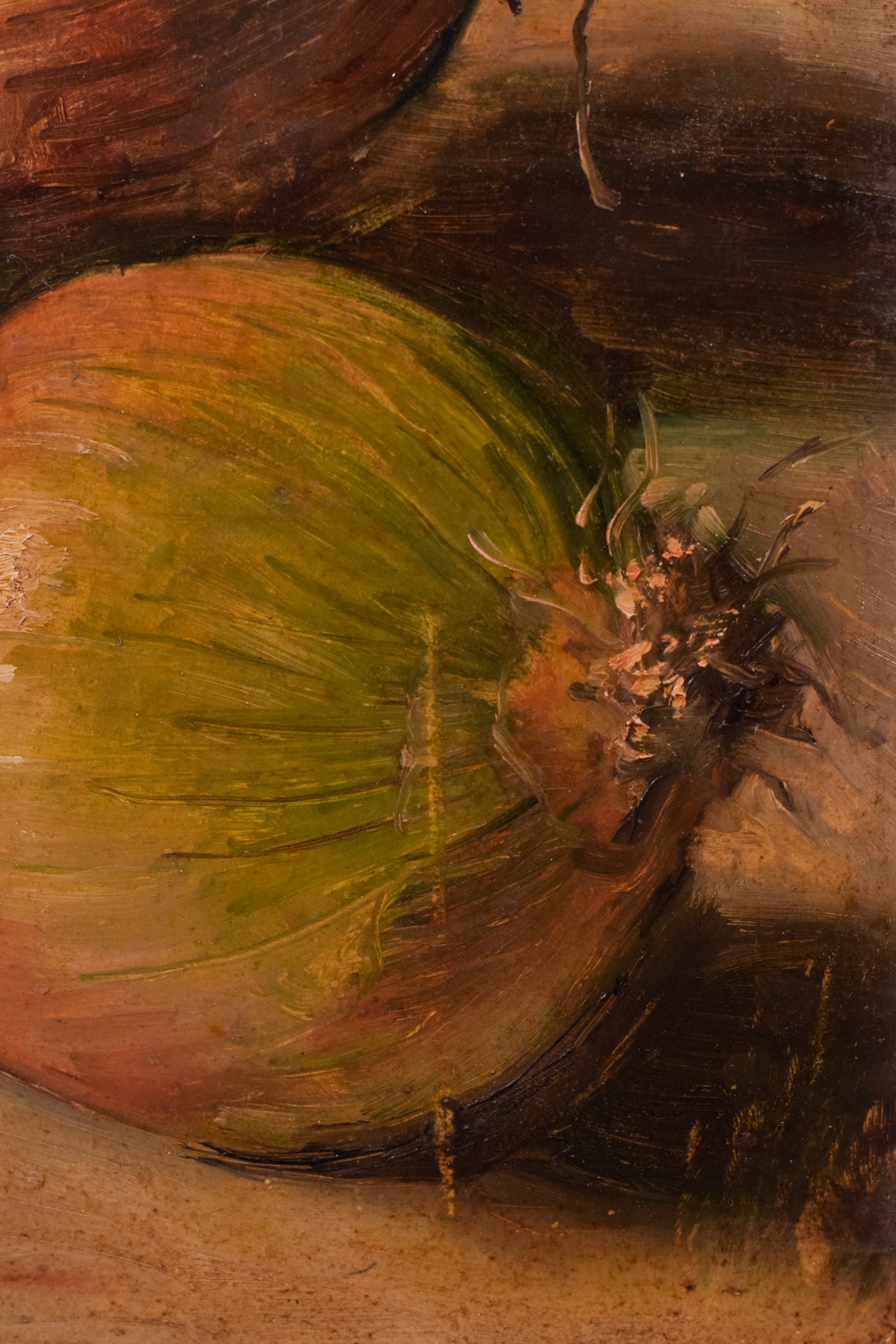 Still Life - Onions