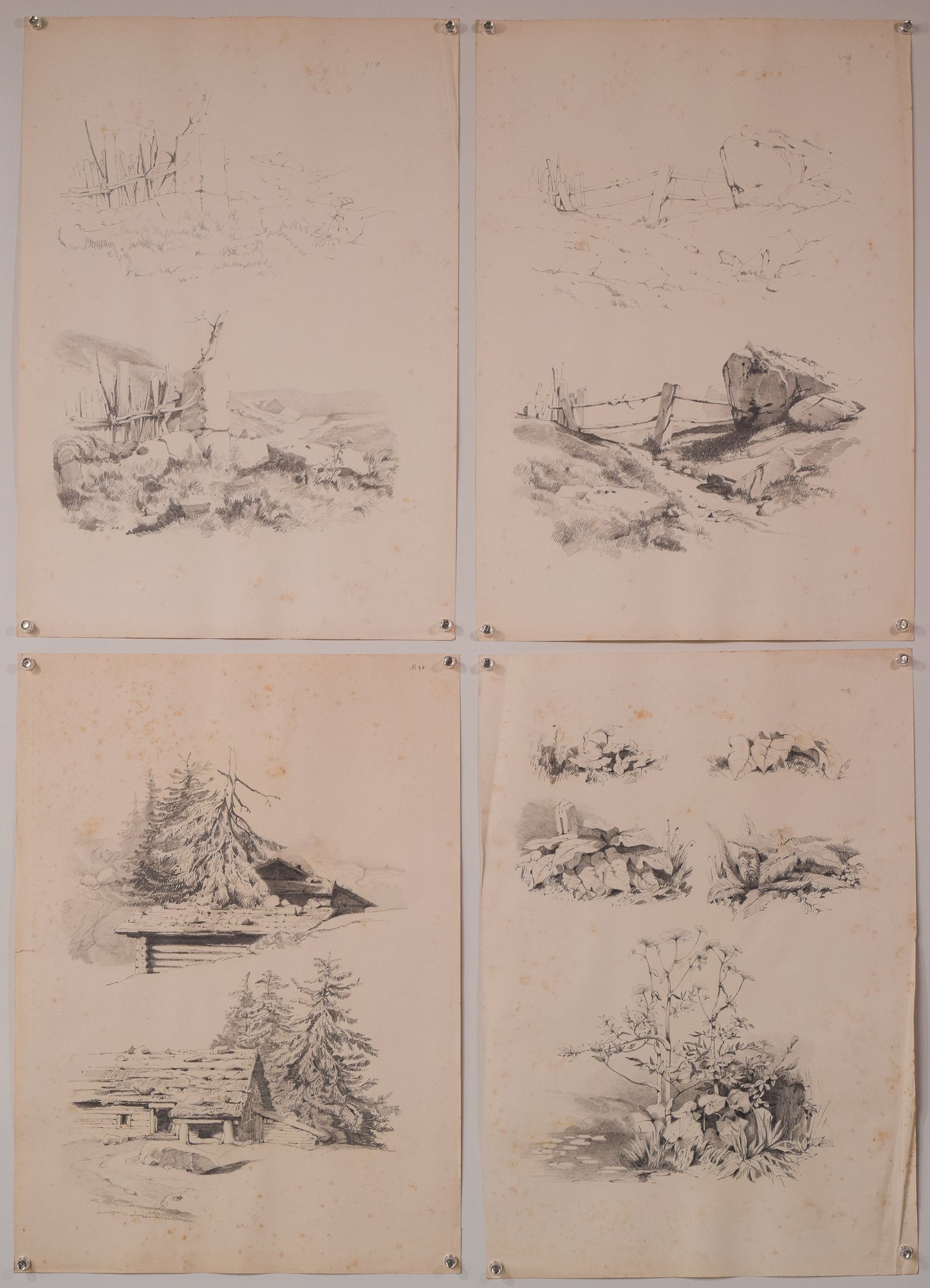 Set of 11 Pencil Studies Of Nature