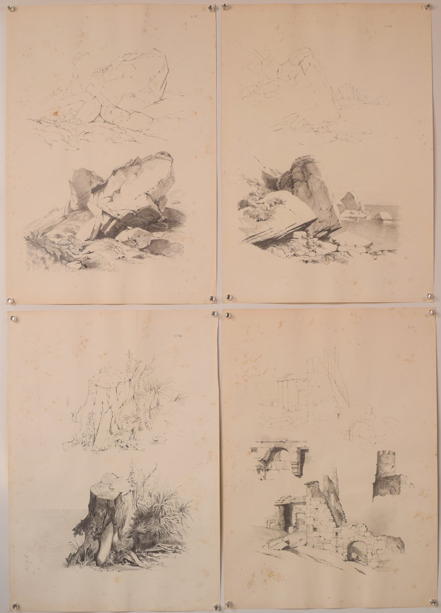 Set of 11 Pencil Studies Of Nature