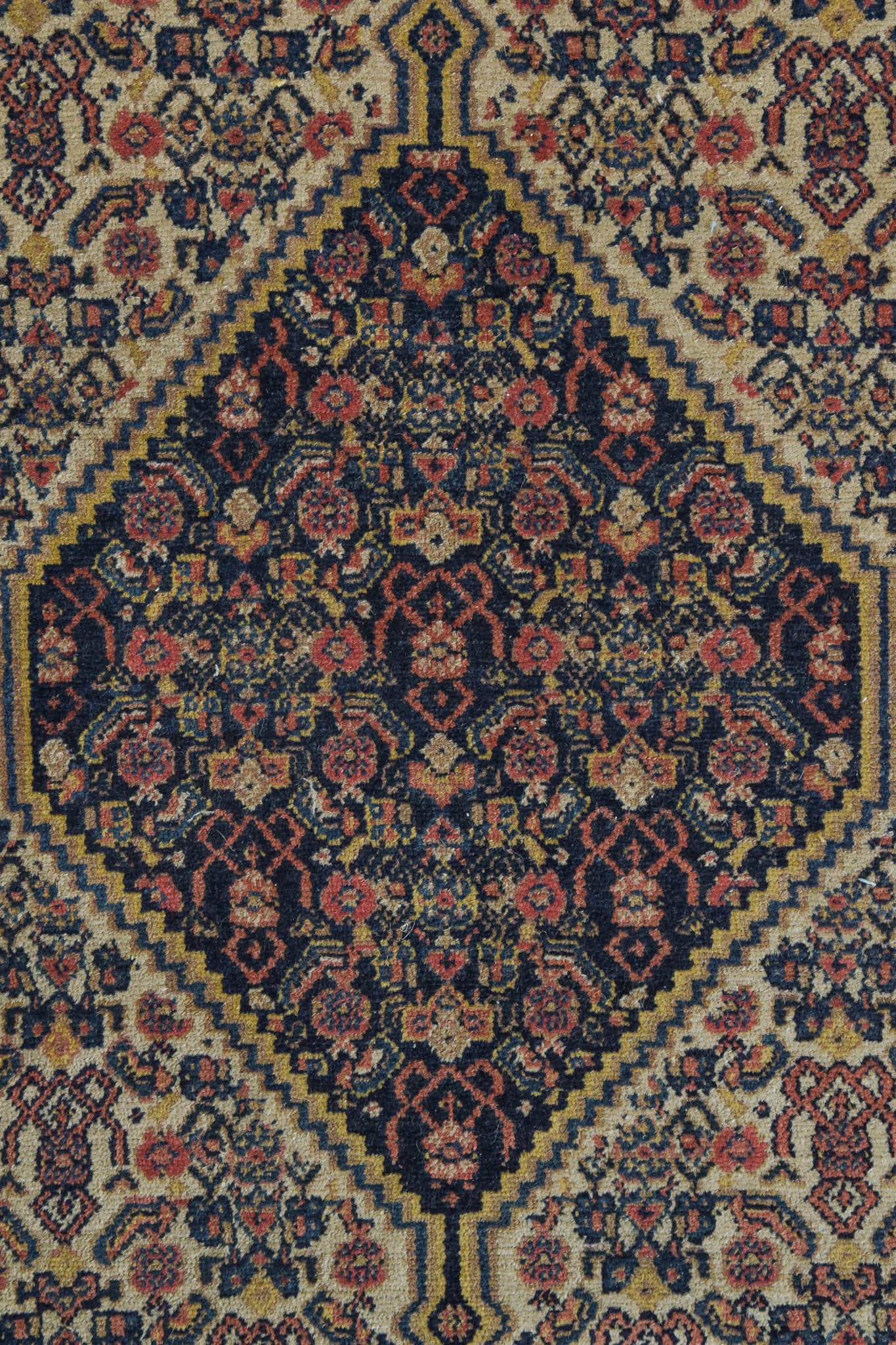 Handwoven Bidjar Tekab Rug