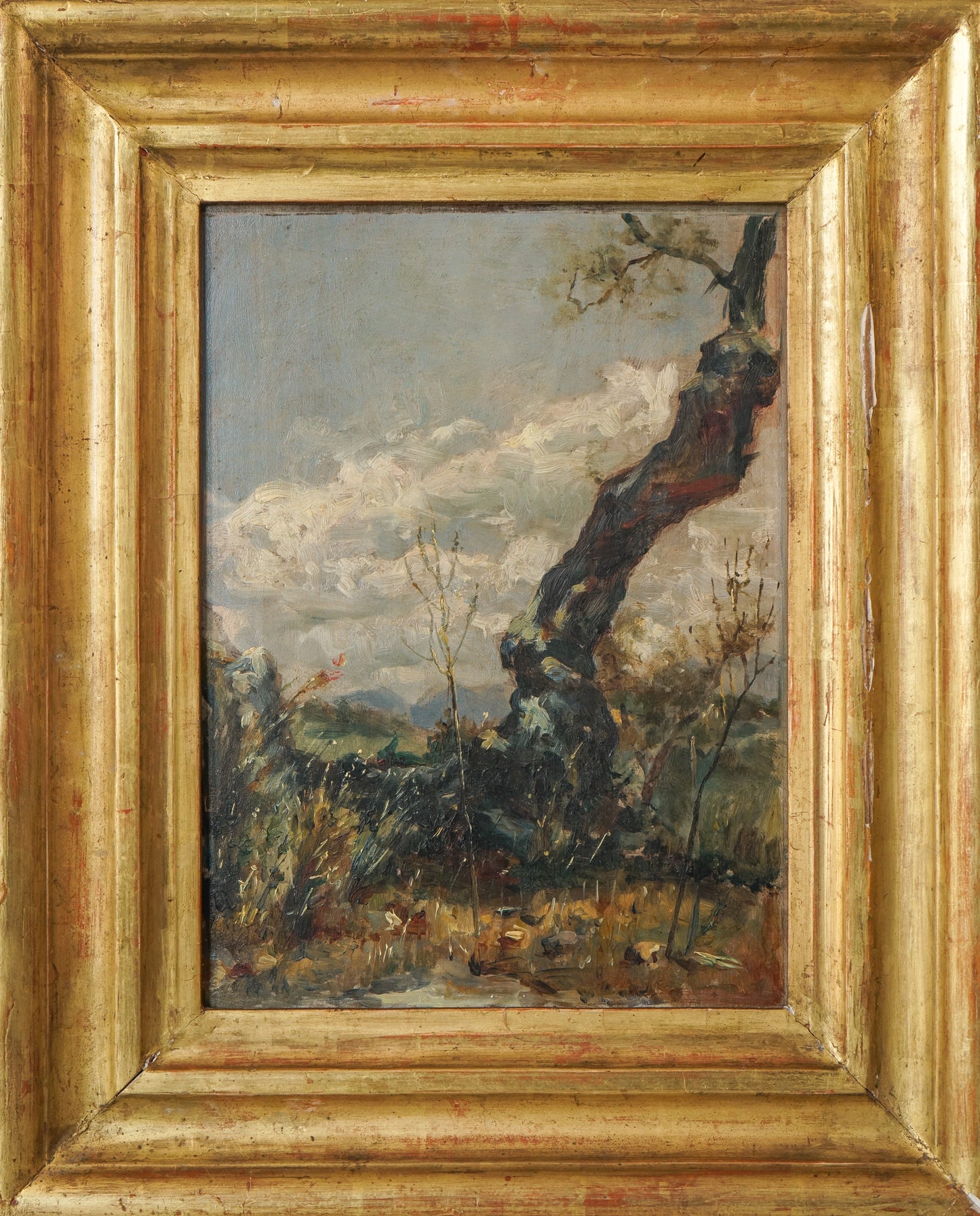 Oil study of a Tree - 19th century