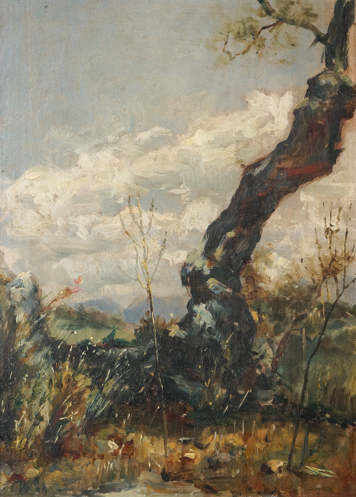 Oil study of a Tree - 19th century