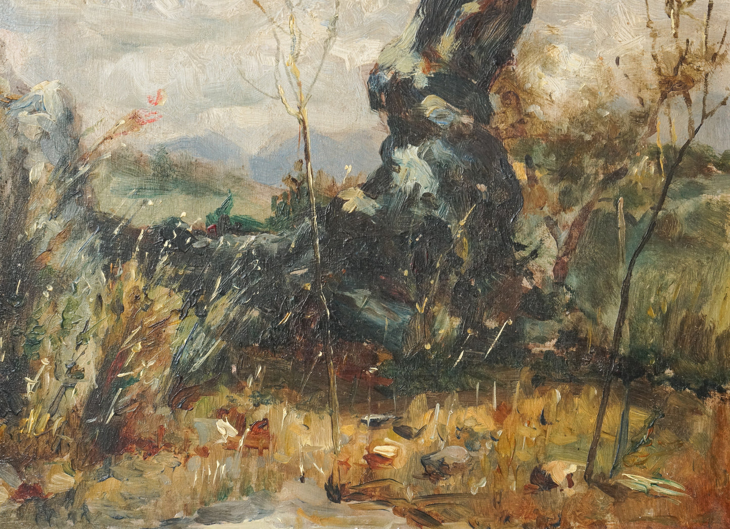 Oil study of a Tree - 19th century