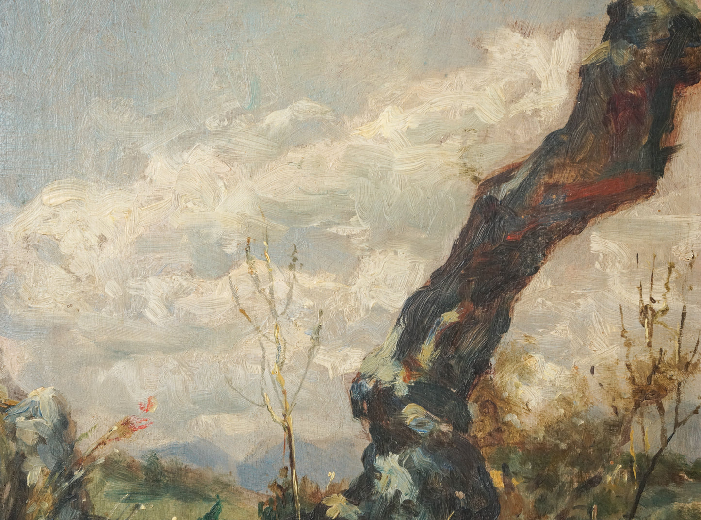 Oil study of a Tree - 19th century