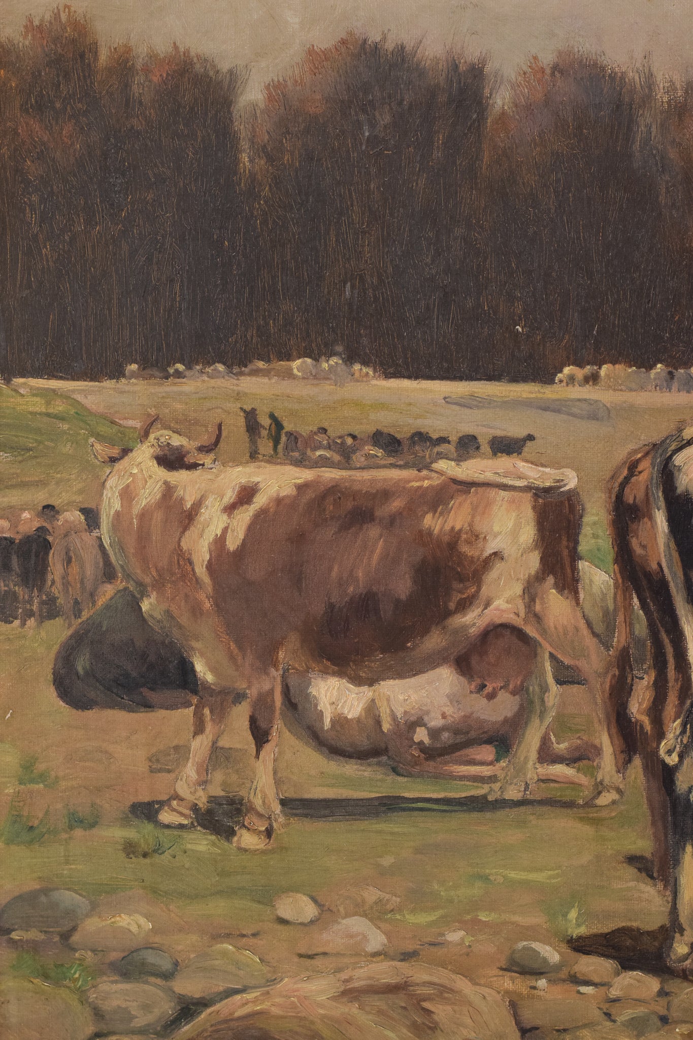 Ramón Mestre Vidal - Landscape with Cows