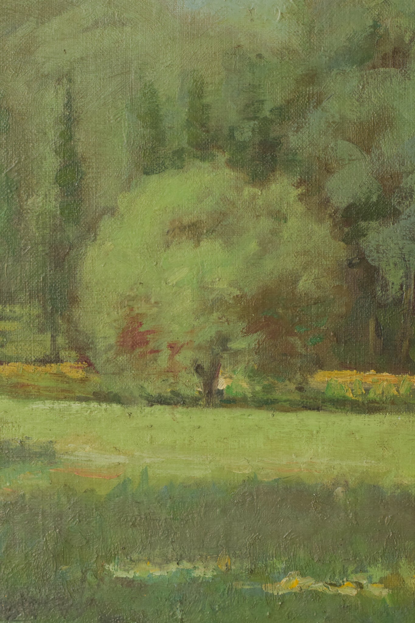 Oil Landscape Painting with Trees