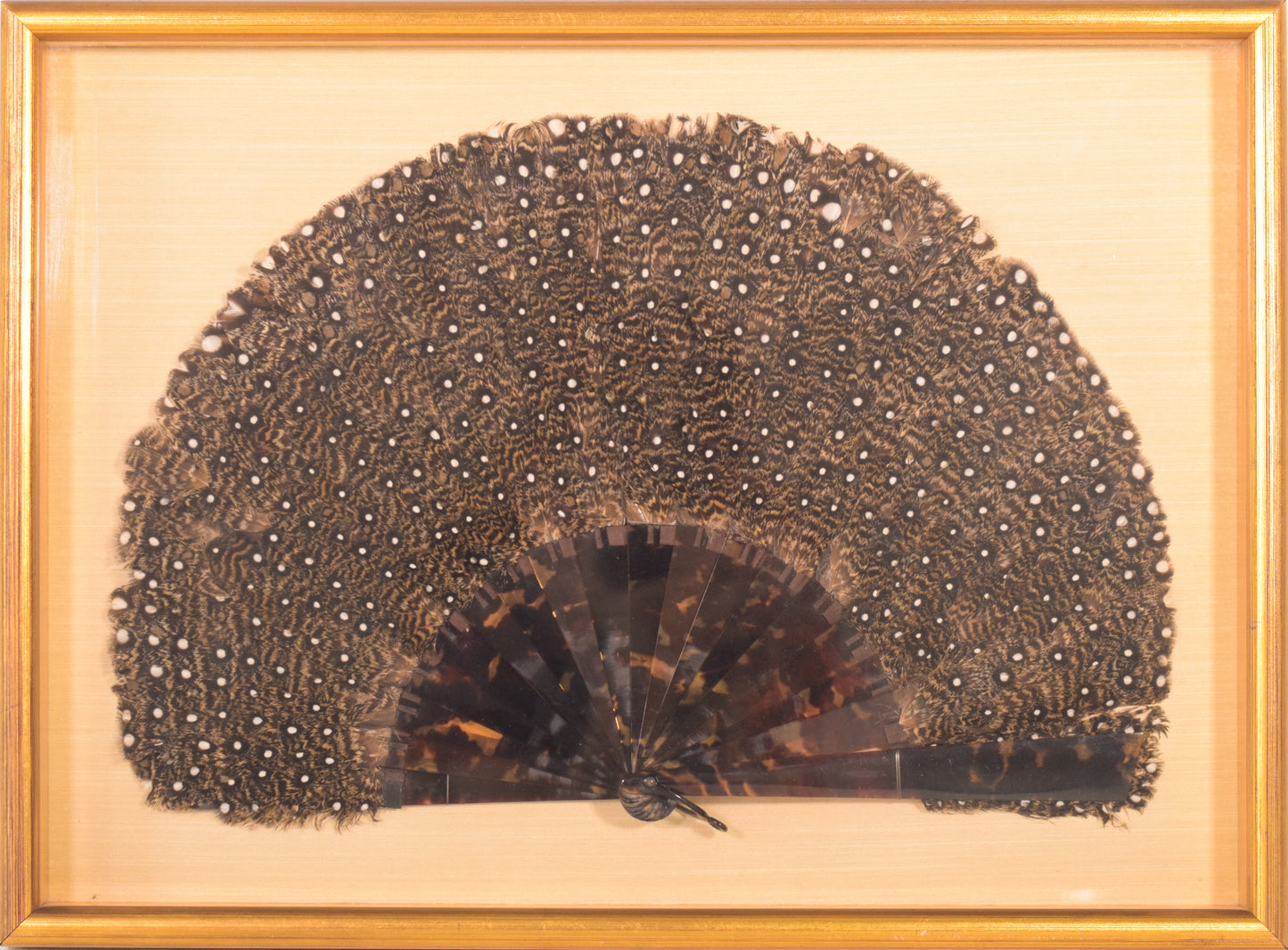 Peacock feather and shell fan framed