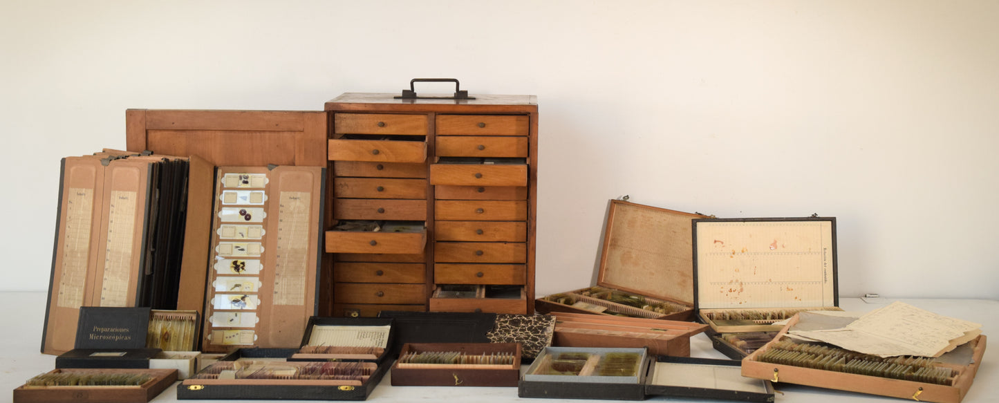 Caja de portaobjetos de caoba con colección de portaobjetos médicos