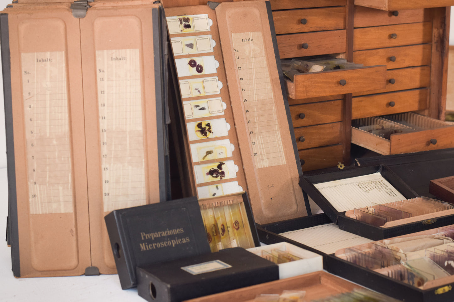 Mahogany Slides Box with Collection of Medical Slides