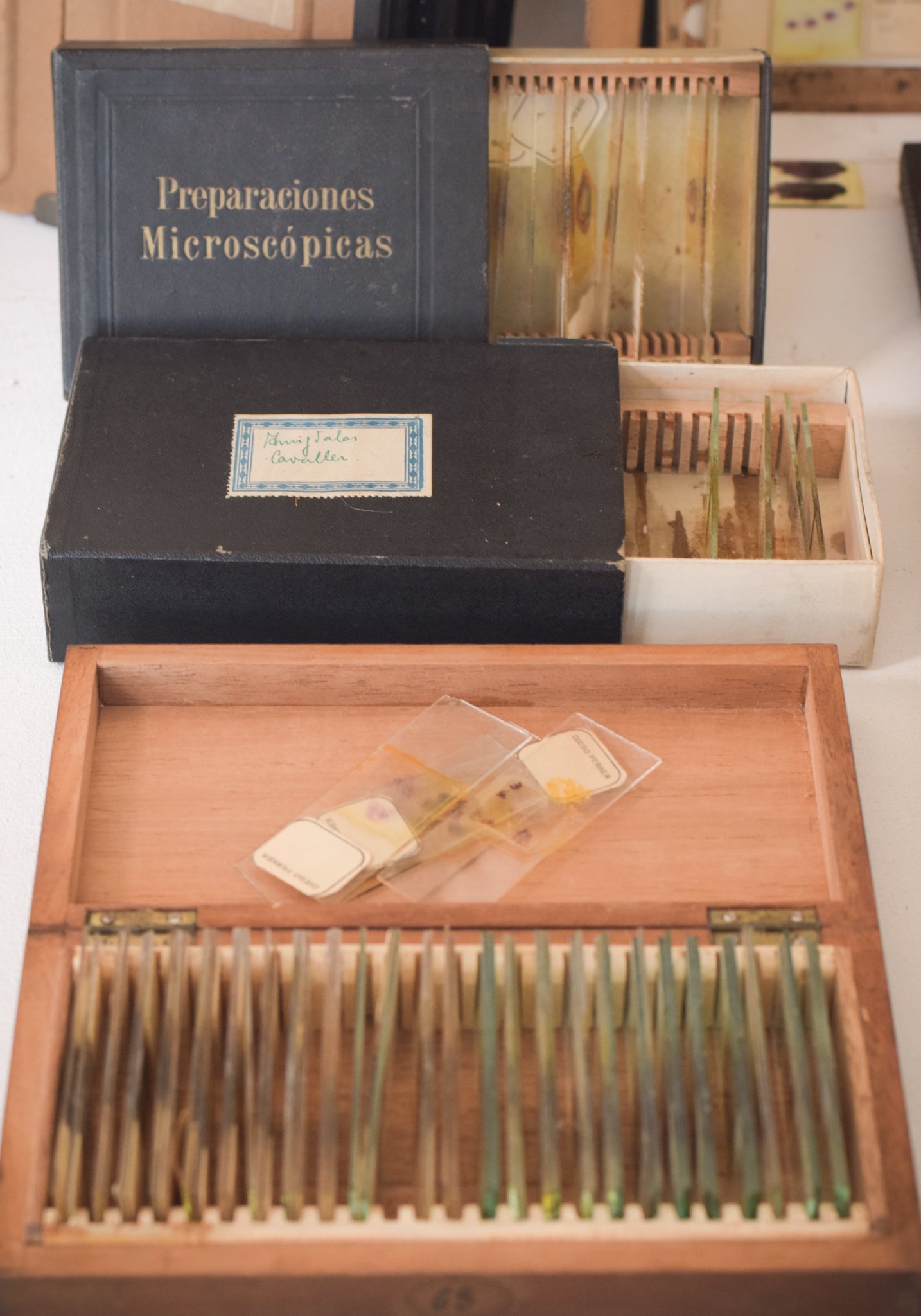 Mahogany Slides Box with Collection of Medical Slides