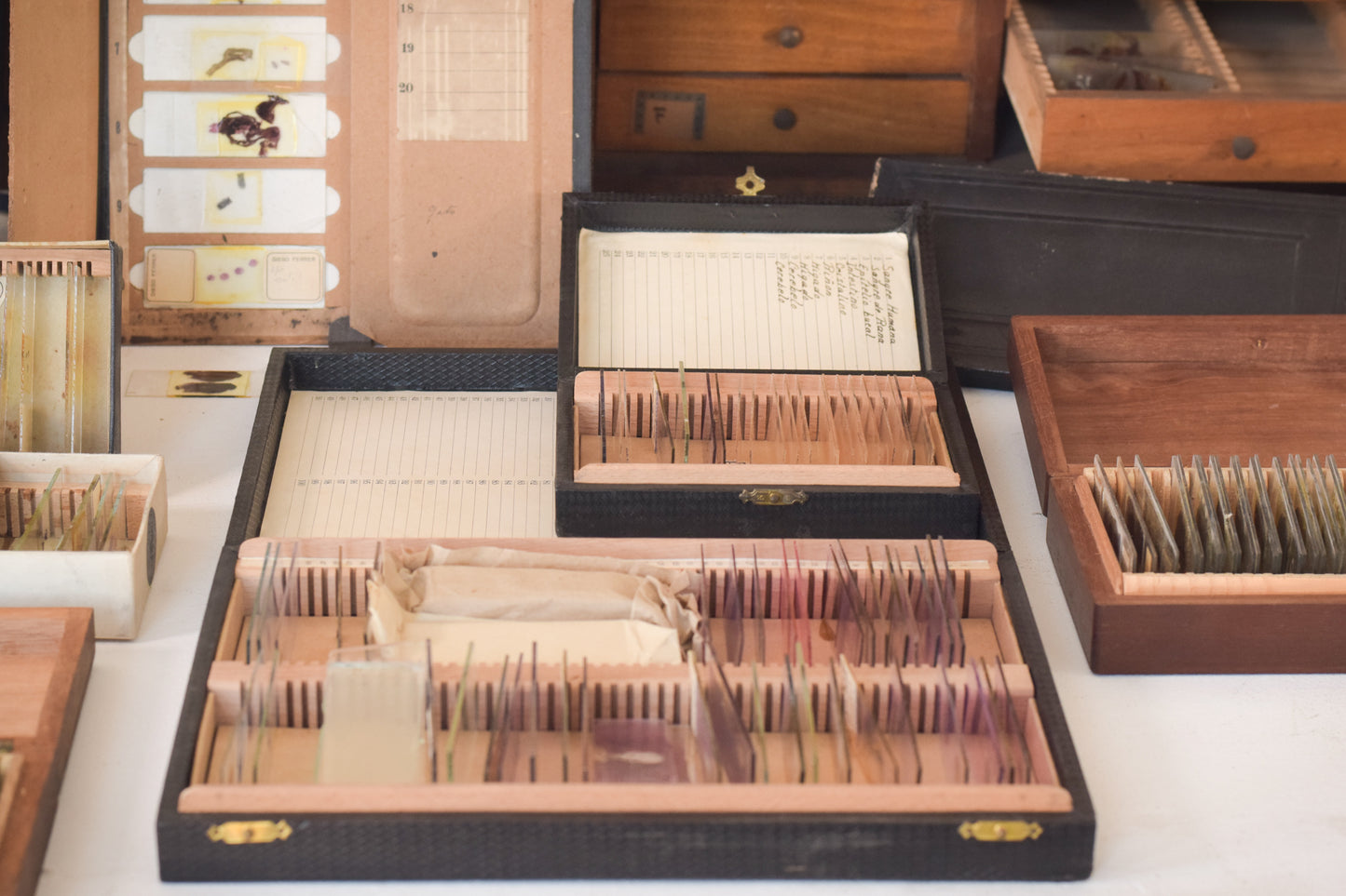 Mahogany Slides Box with Collection of Medical Slides