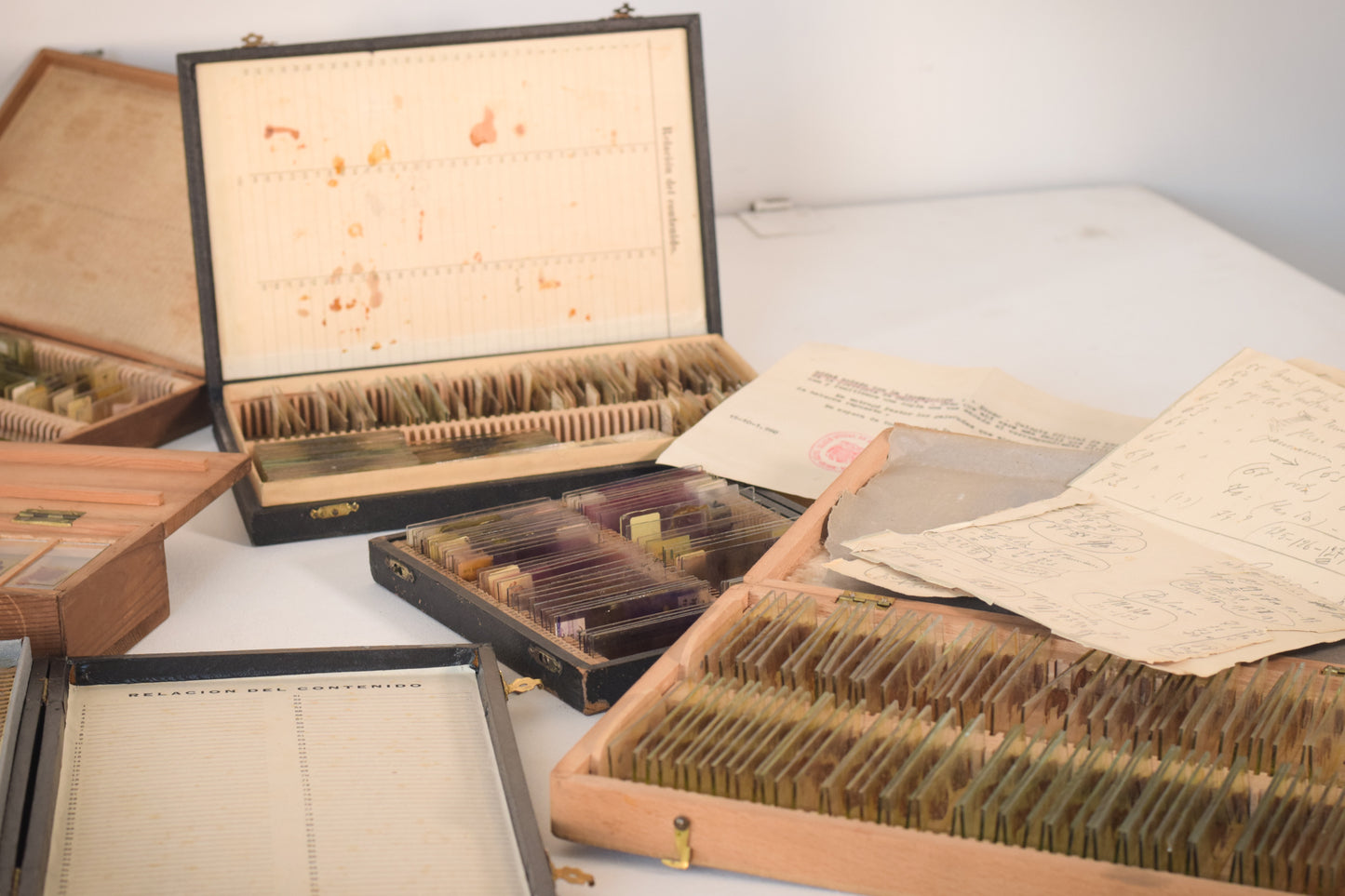 Mahogany Slides Box with Collection of Medical Slides