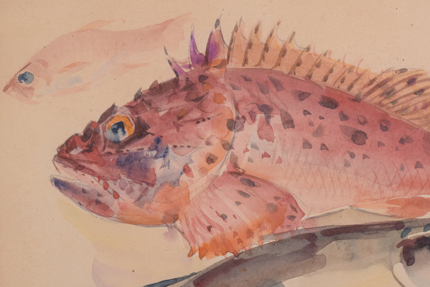 Oleguer Junyent i Sans - Watercolour Fishes