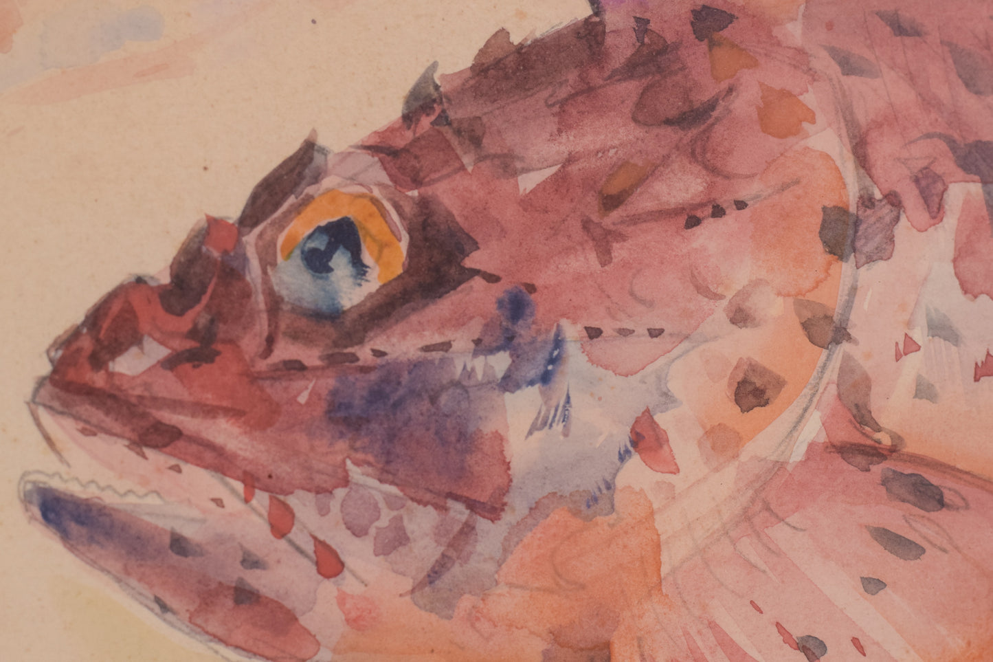 Oleguer Junyent i Sans - Watercolour Fishes