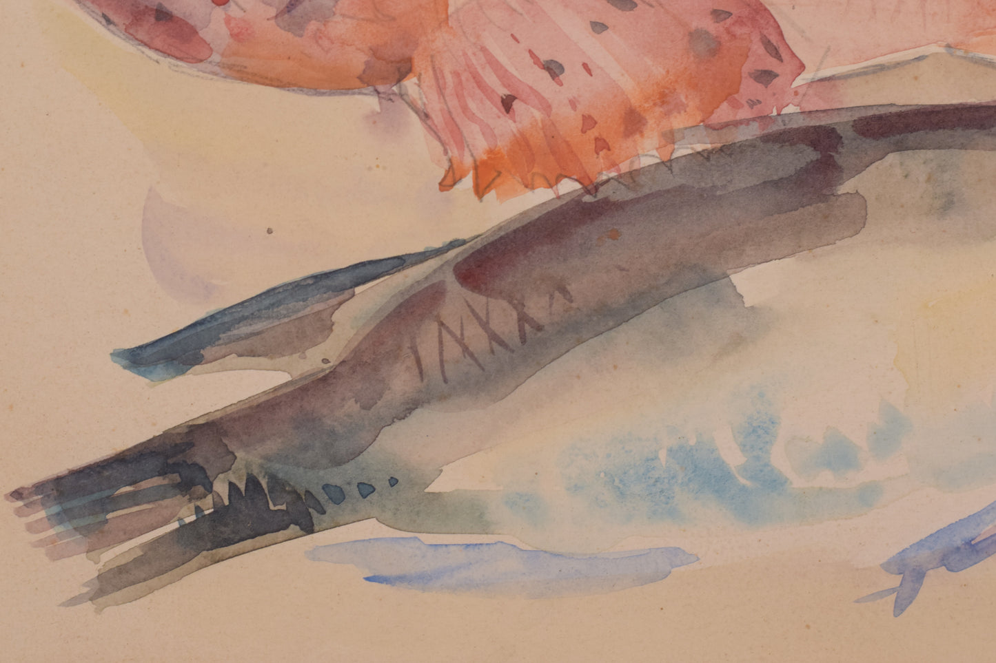 Oleguer Junyent i Sans - Watercolour Fishes