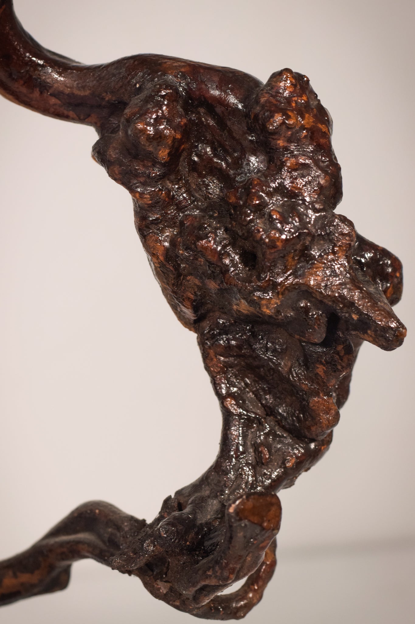 Rare Two Herons or Cranes – Japanese Root Sculpture