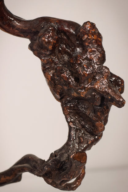 Rare Two Herons or Cranes – Japanese Root Sculpture