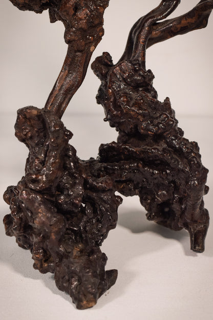 Rare Two Herons or Cranes – Japanese Root Sculpture