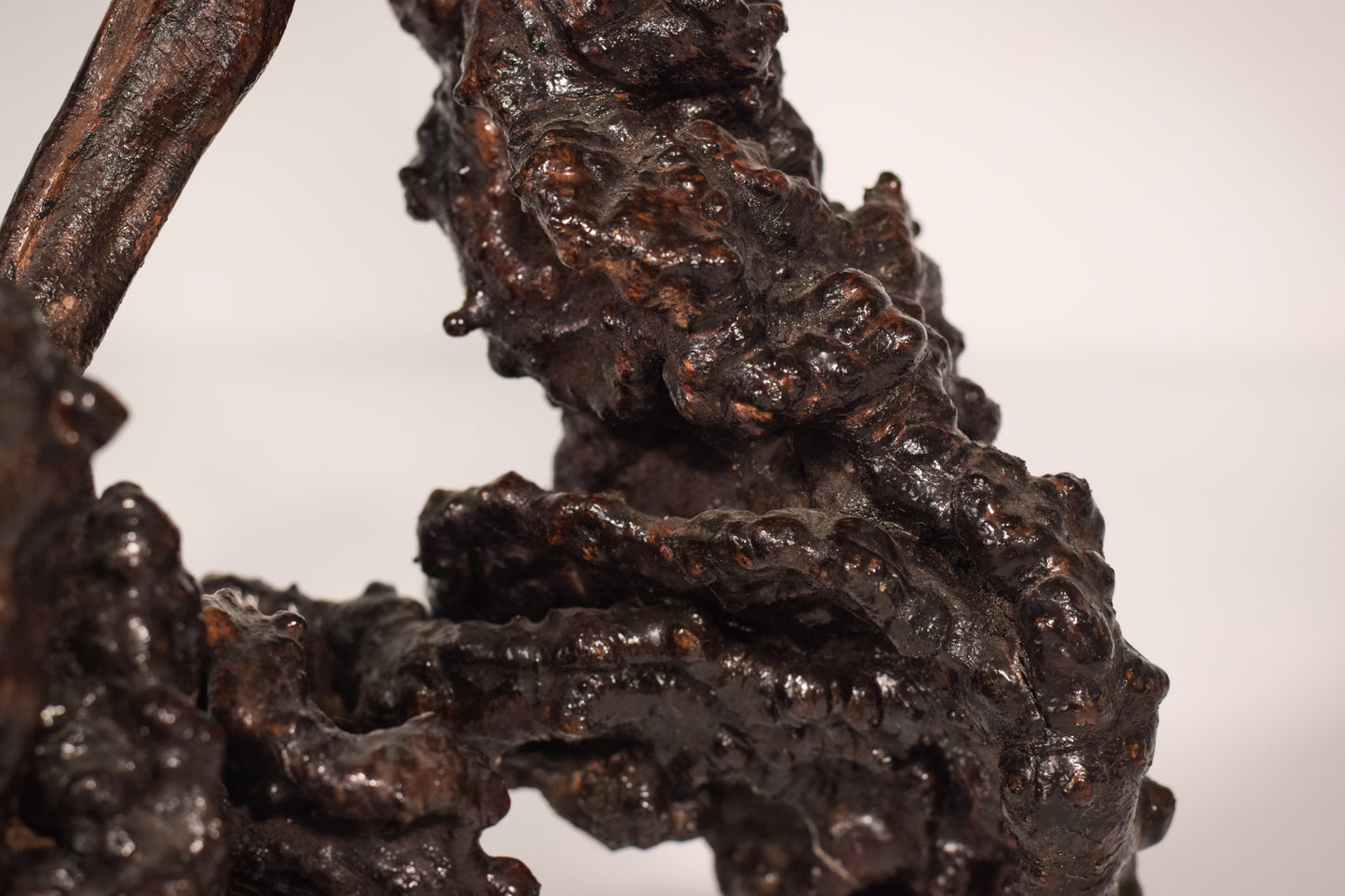 Rare Two Herons or Cranes – Japanese Root Sculpture