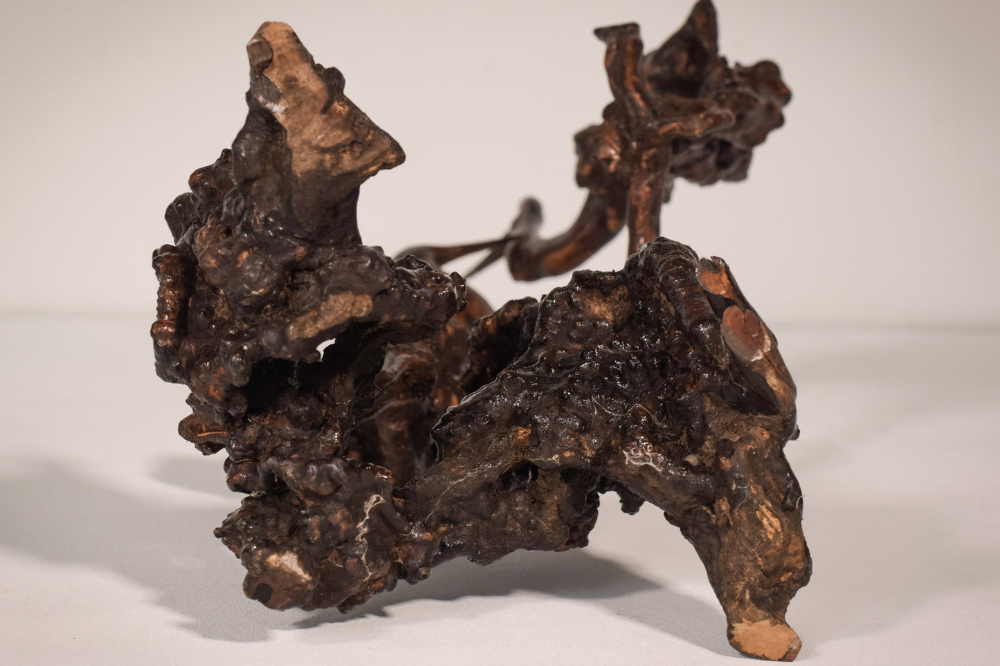 Rare Two Herons or Cranes – Japanese Root Sculpture