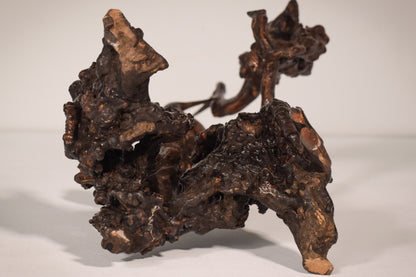 Rare Two Herons or Cranes – Japanese Root Sculpture