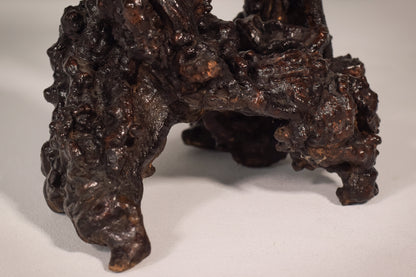 Rare Two Herons or Cranes – Japanese Root Sculpture