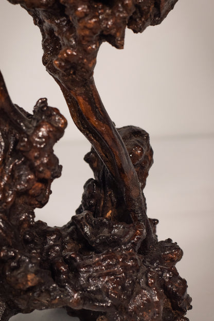 Rare Two Herons or Cranes – Japanese Root Sculpture