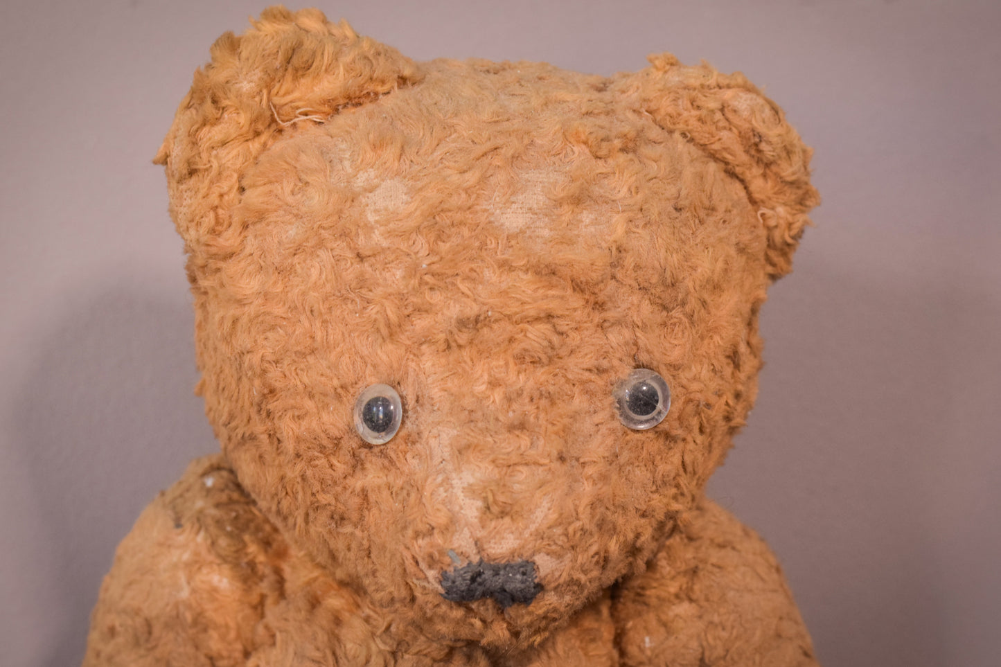 Antique teddy bear