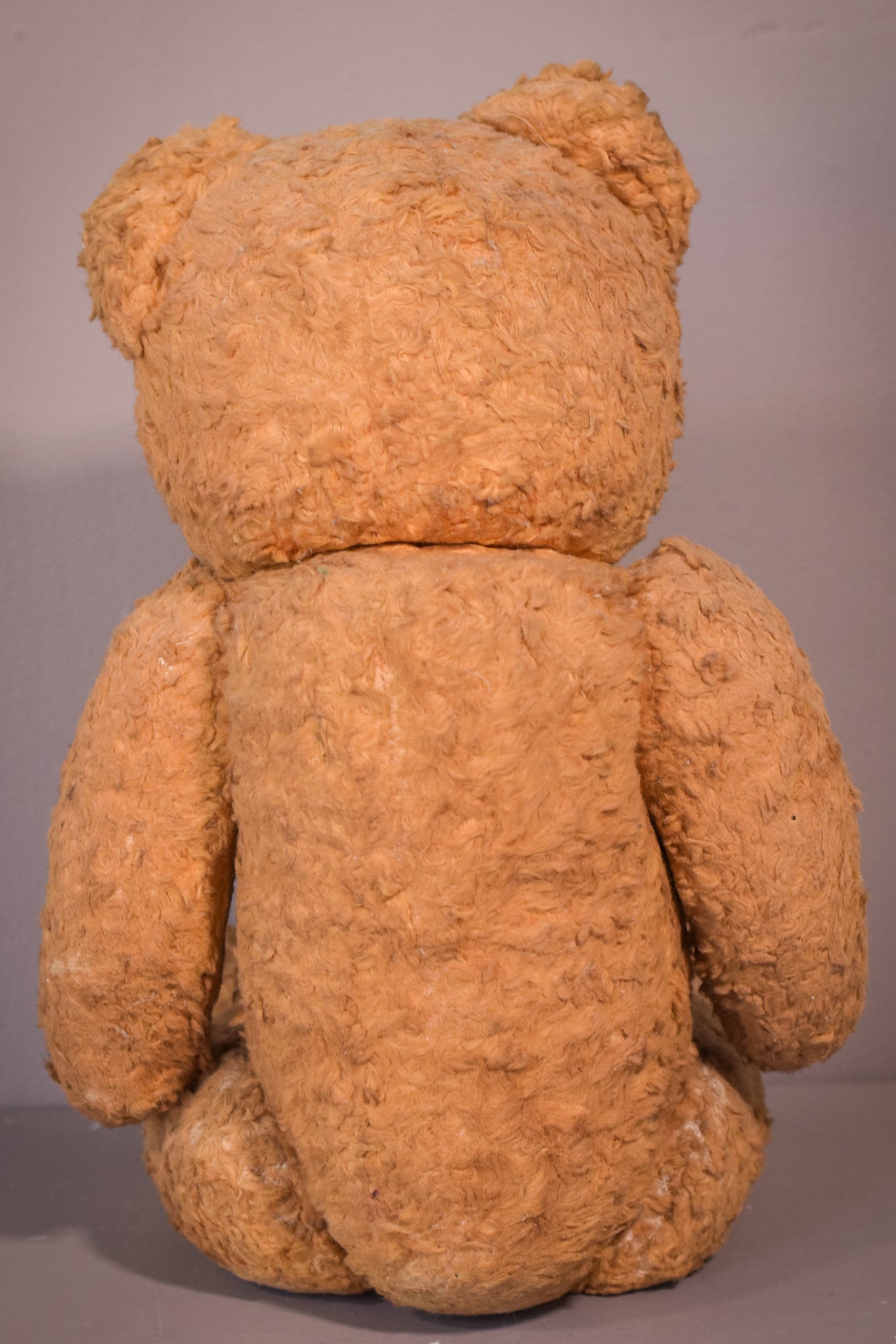 Antique teddy bear