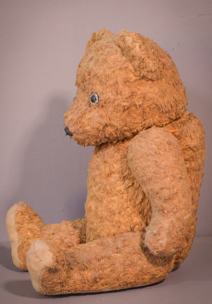 Antique teddy bear