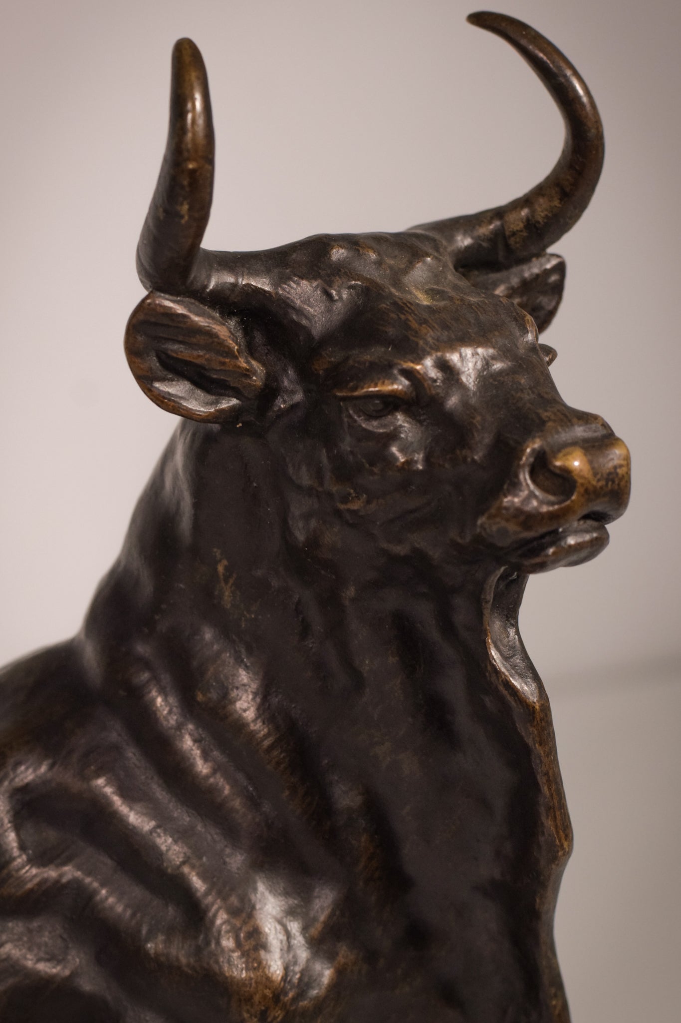 Bronze Bull