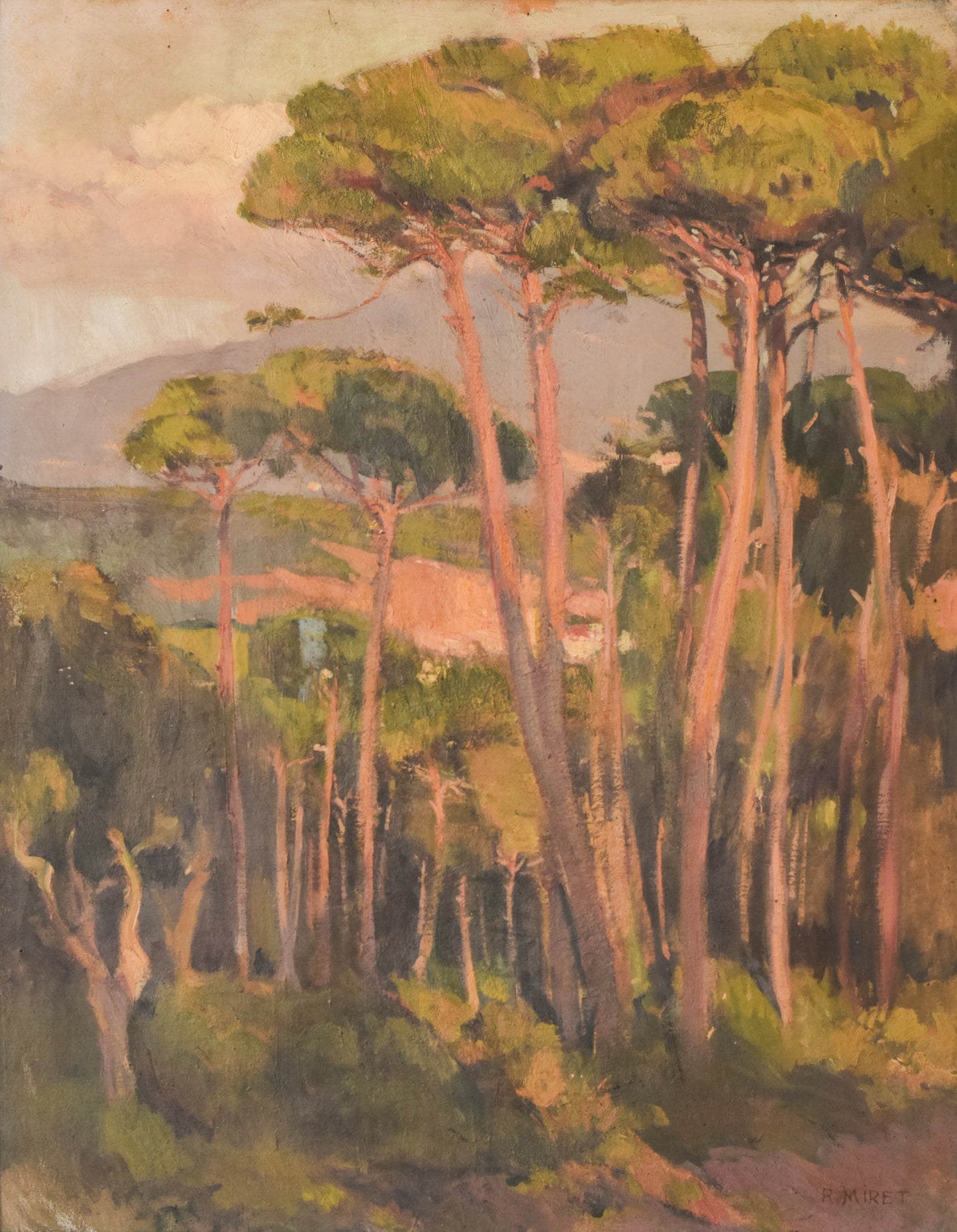 Impressionist Landscape of Trees Bathing In a Golden Light. Oil on Canvas By Ramon Miret