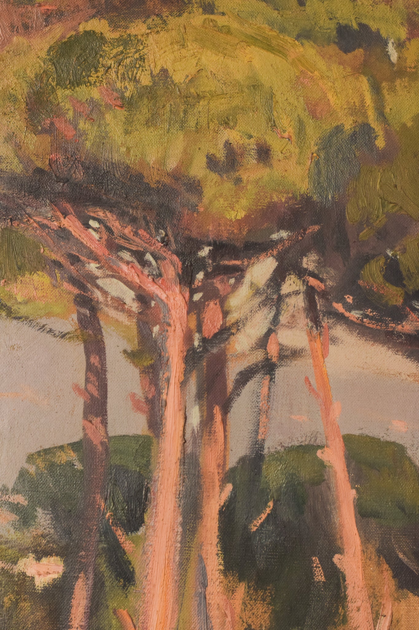 Impressionist Landscape of Trees Bathing In a Golden Light. Oil on Canvas By Ramon Miret