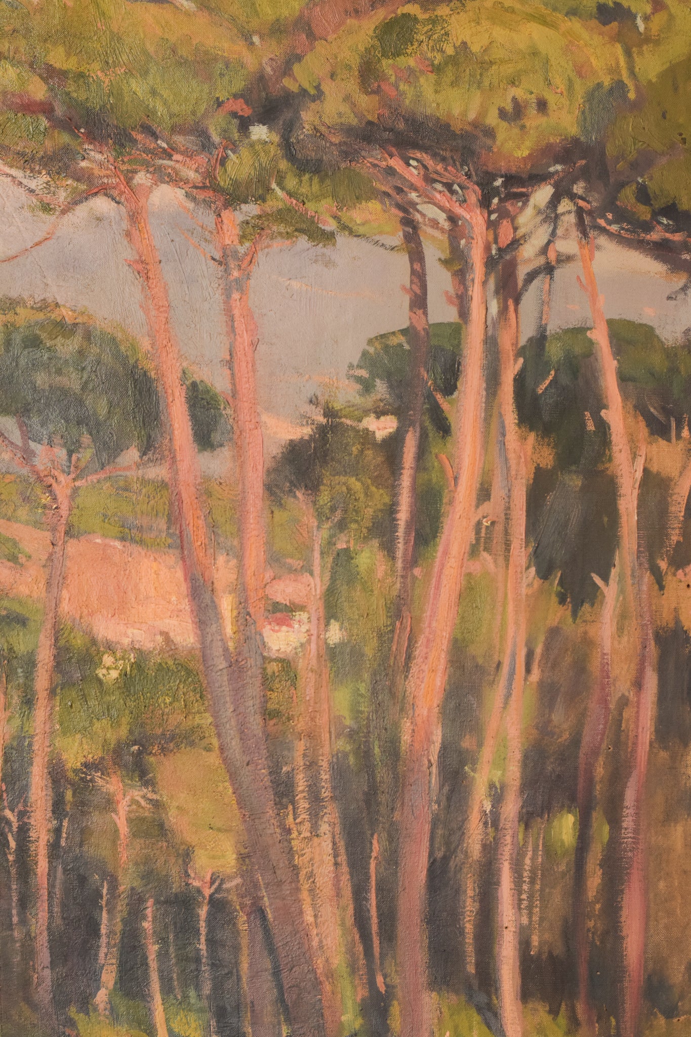 Impressionist Landscape of Trees Bathing In a Golden Light. Oil on Canvas By Ramon Miret