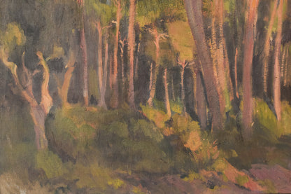 Impressionist Landscape of Trees Bathing In a Golden Light. Oil on Canvas By Ramon Miret